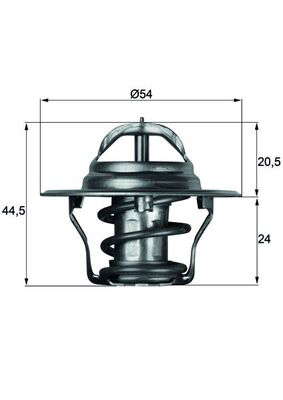 Thermostat d'eau