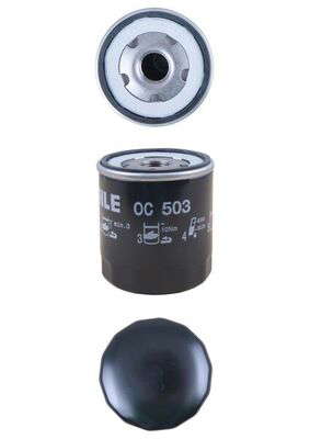 4561819