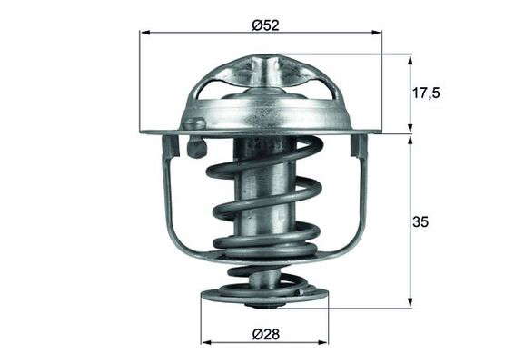 Thermostat d'eau