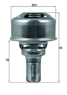 Thermostat d'eau