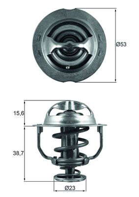 Thermostat d'eau