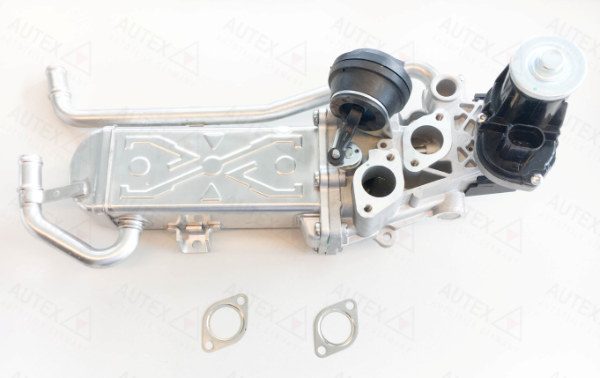 Module-EGR