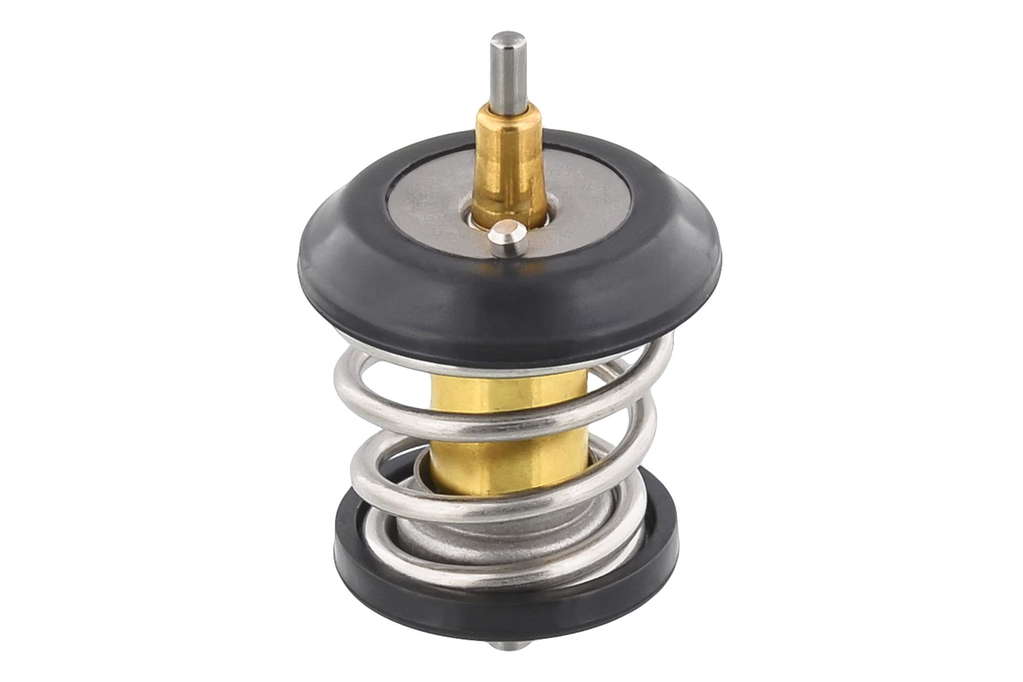 Thermostat d'eau
