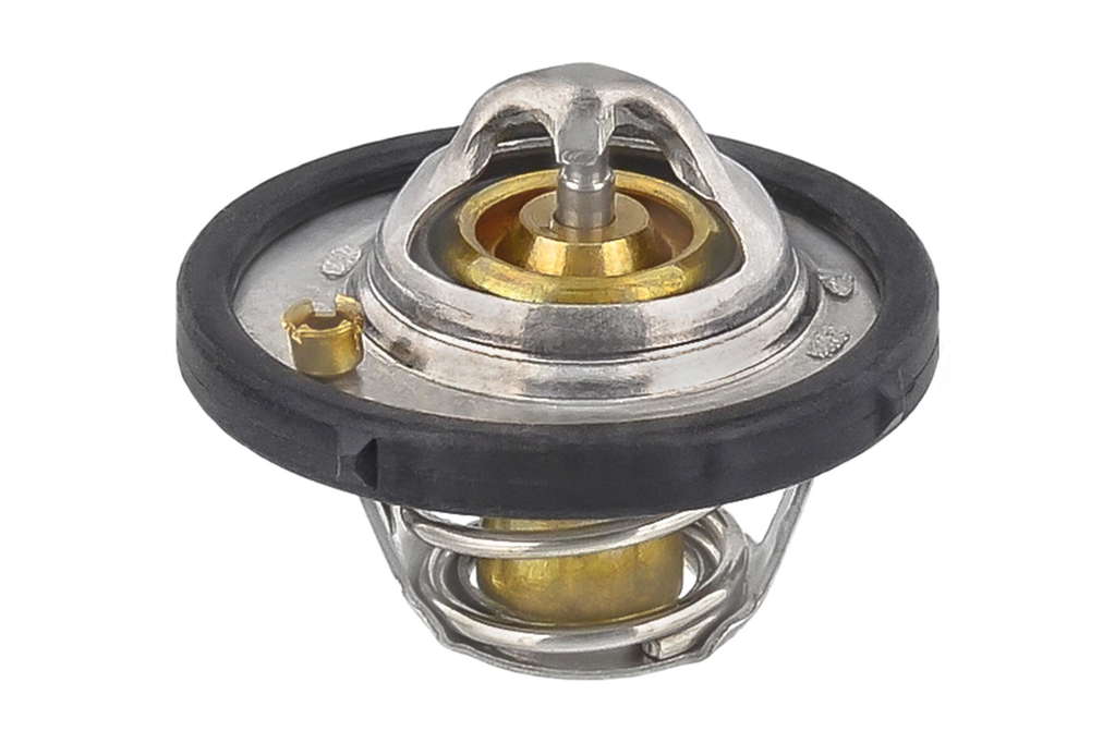 Thermostat d'eau