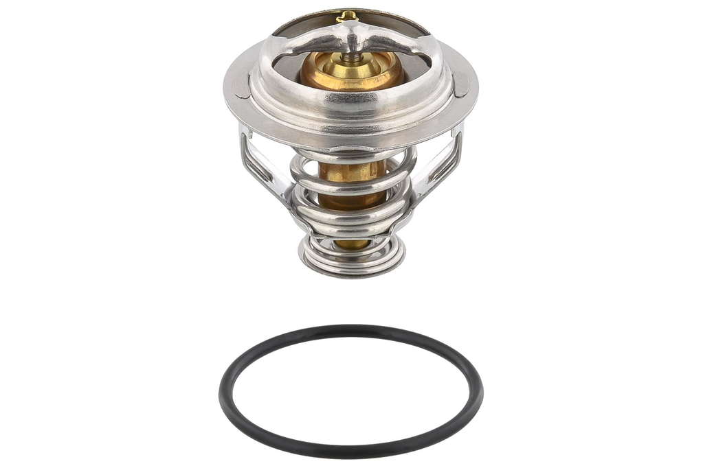Thermostat d'eau