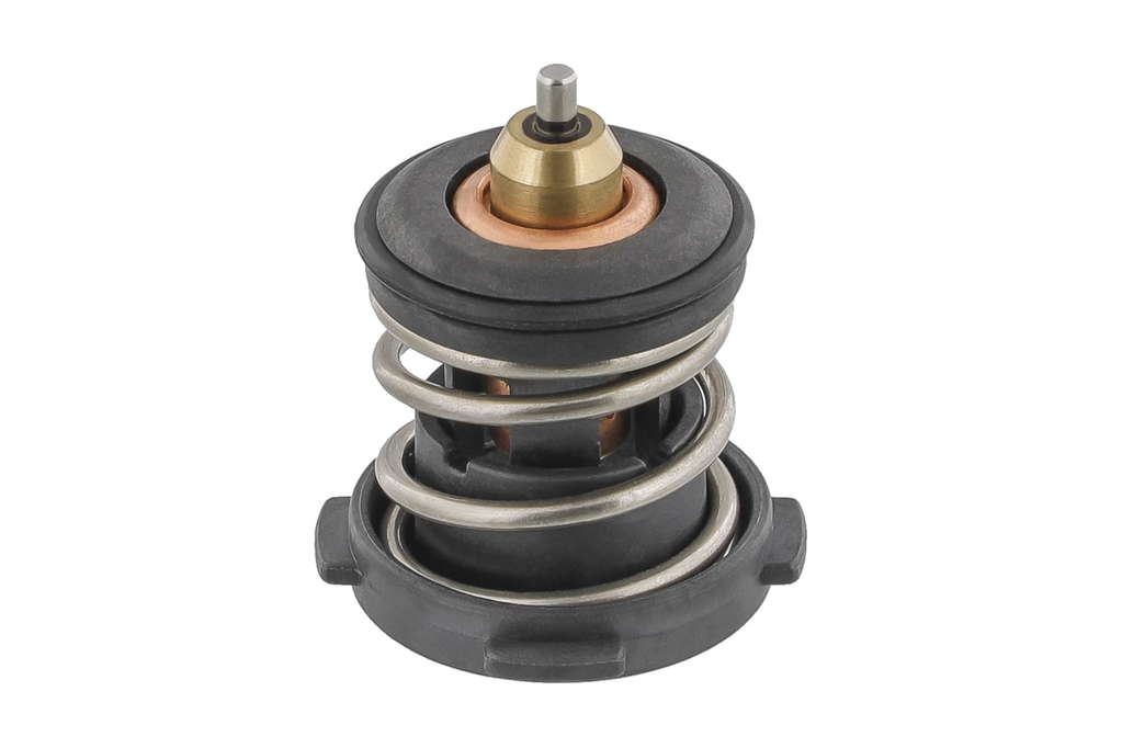 Thermostat d'eau