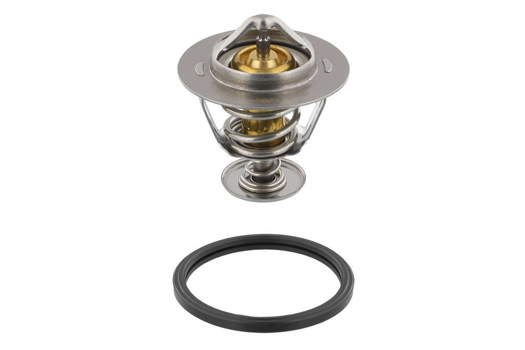 Thermostat d'eau