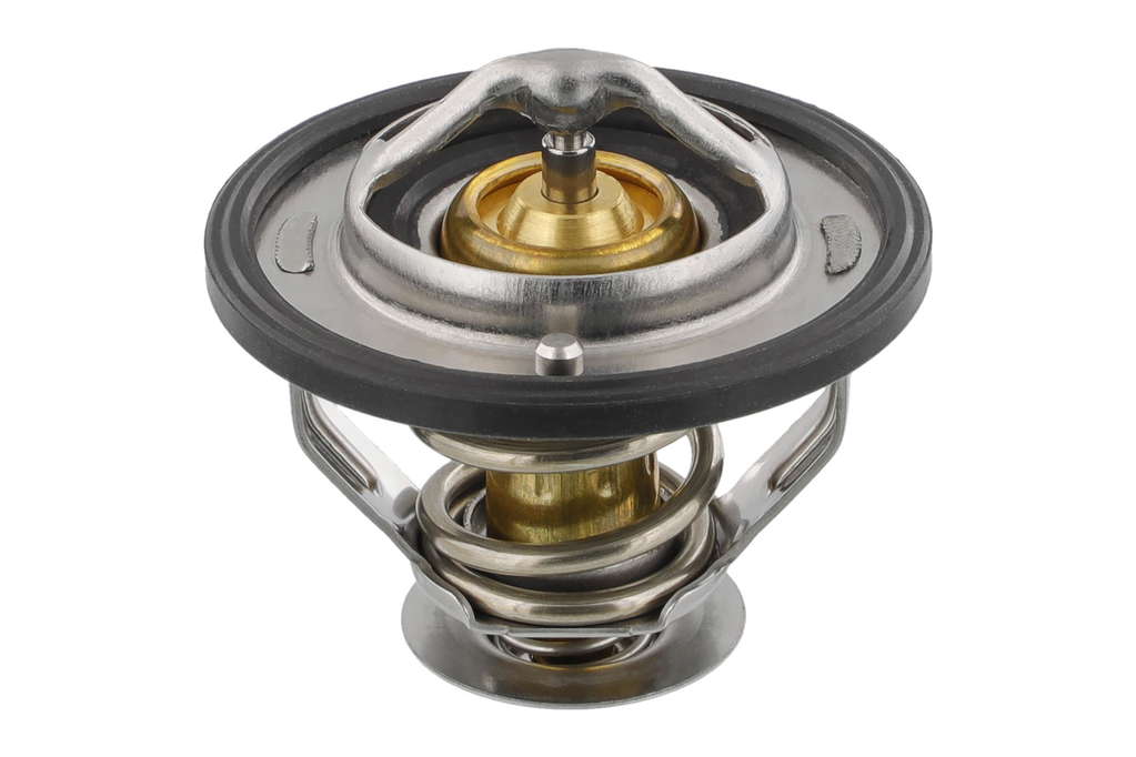 Thermostat d'eau
