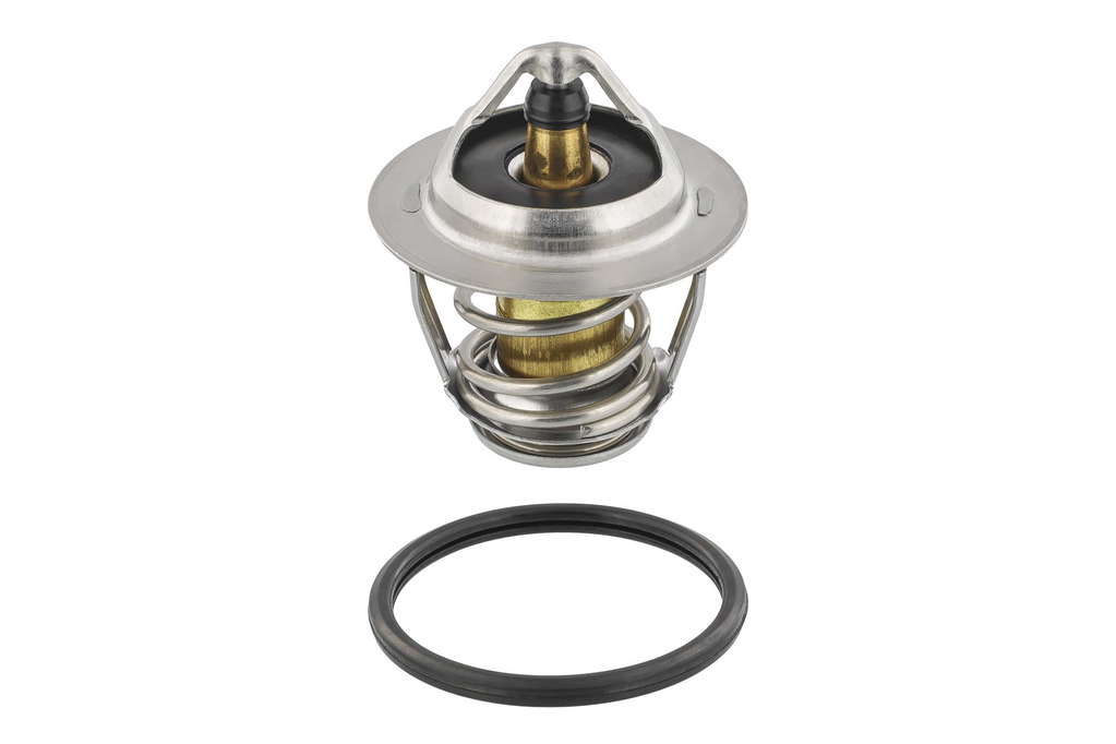 Thermostat d'eau