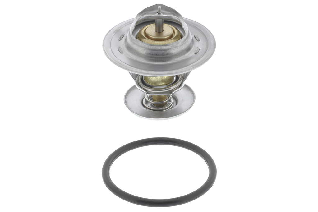 Thermostat d'eau