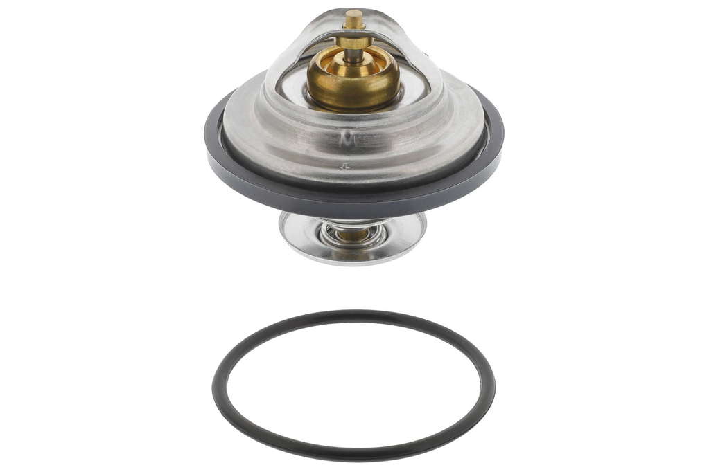Thermostat d'eau
