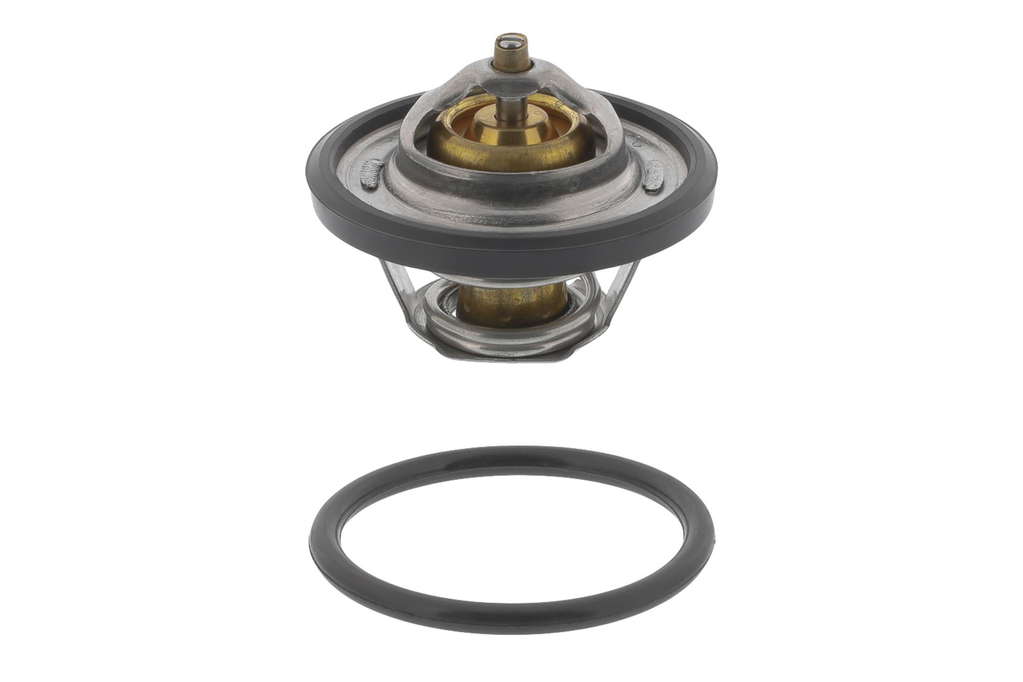 Thermostat d'eau