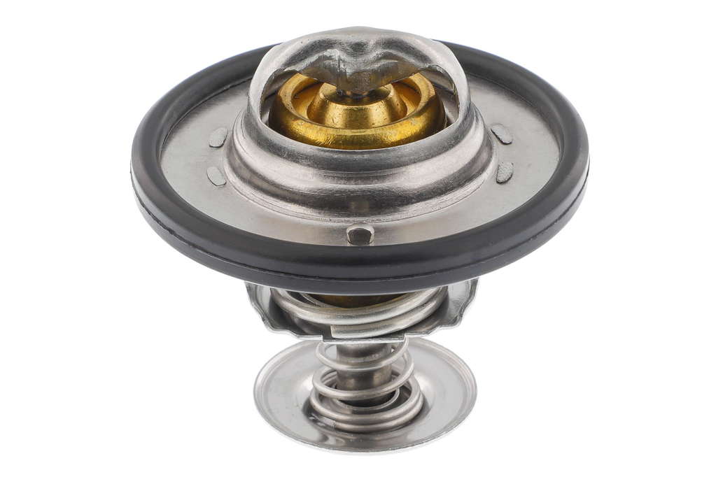 Thermostat d'eau