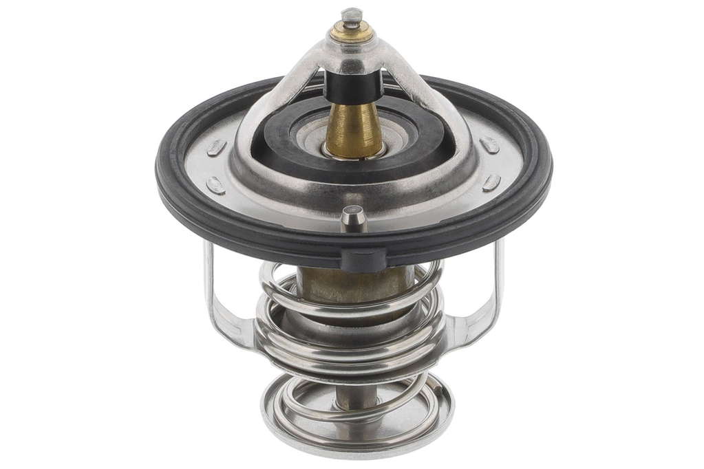 Thermostat d'eau