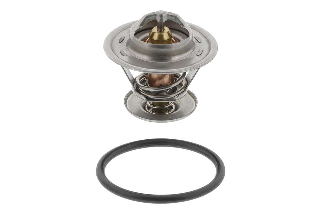 Thermostat d'eau