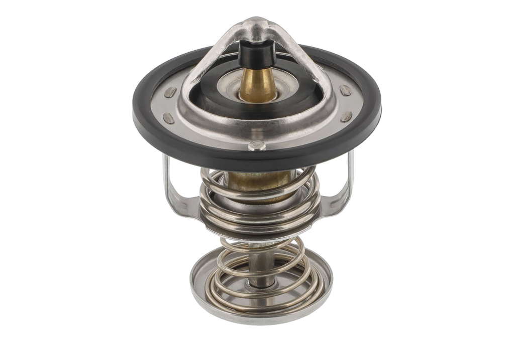 Thermostat d'eau