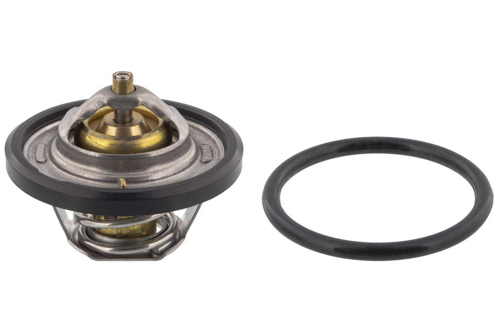 Thermostat d'eau