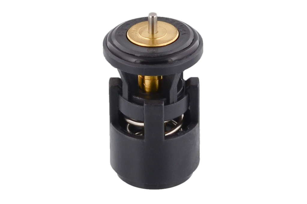 Thermostat d'eau