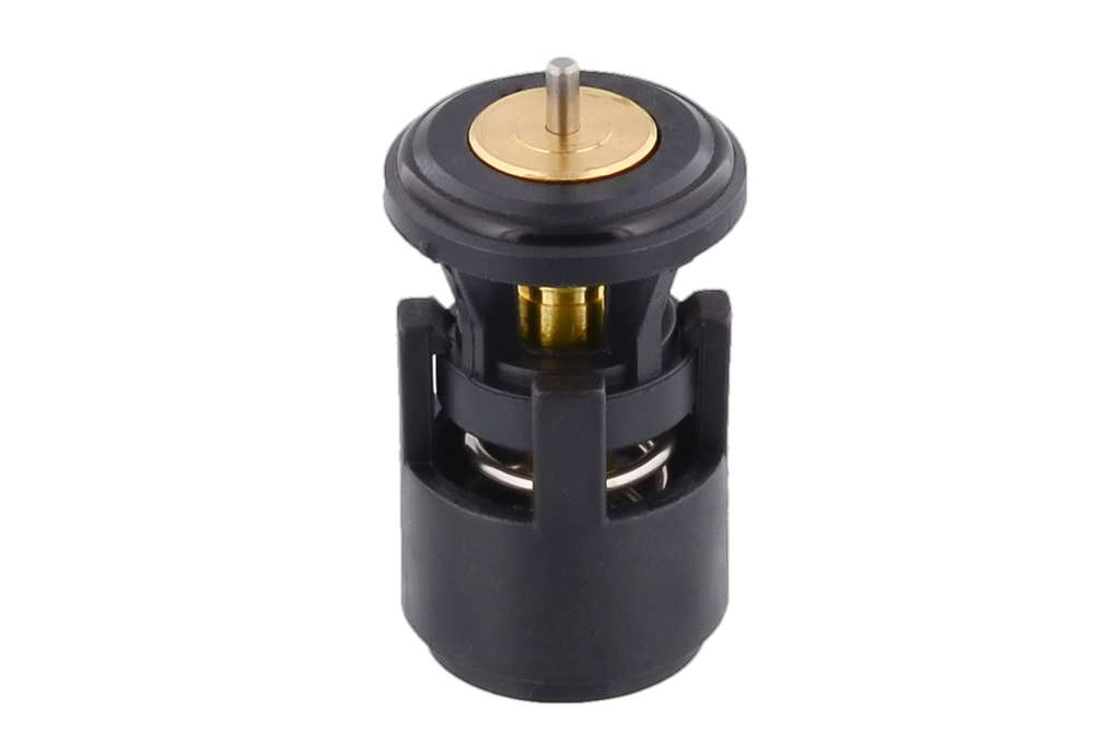 Thermostat d'eau