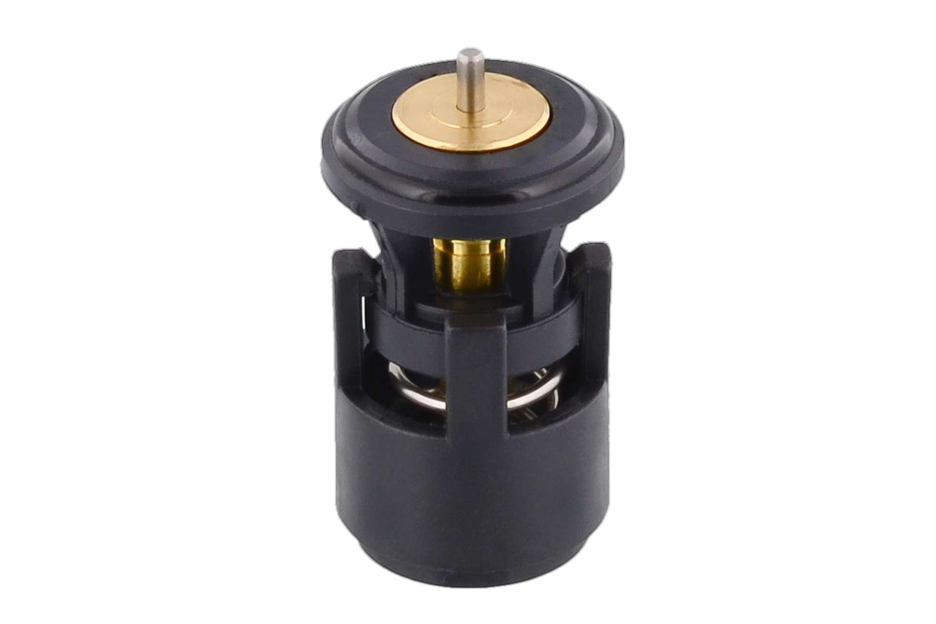 Thermostat d'eau
