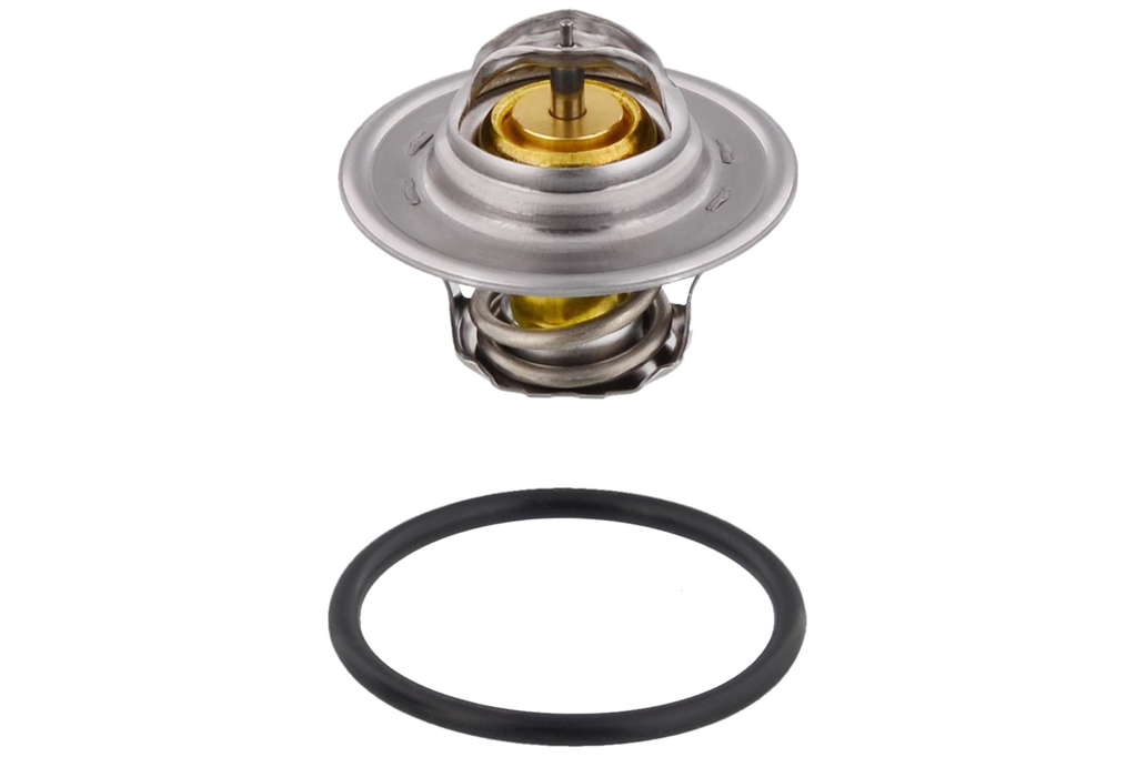 Thermostat d'eau