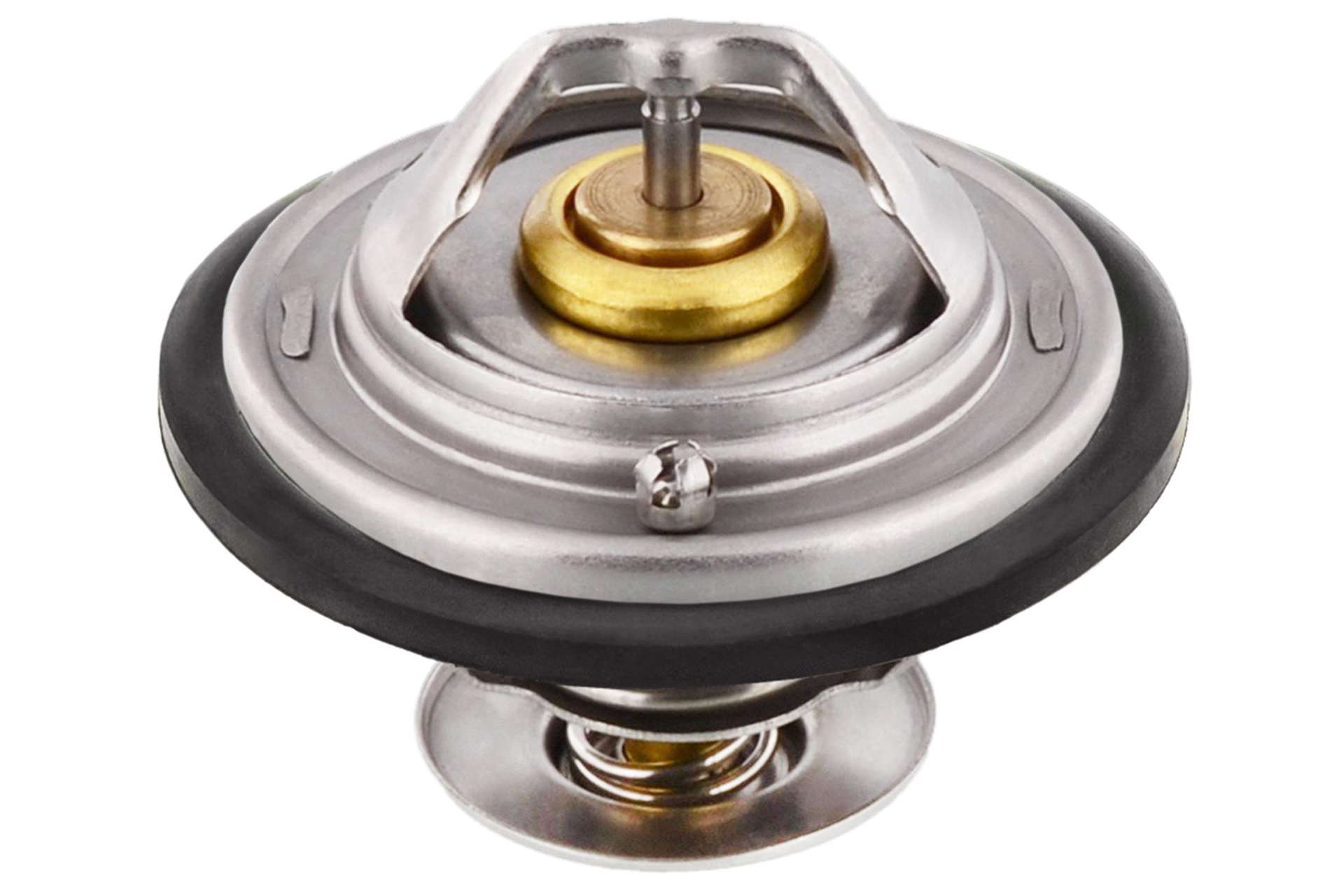 Thermostat d'eau