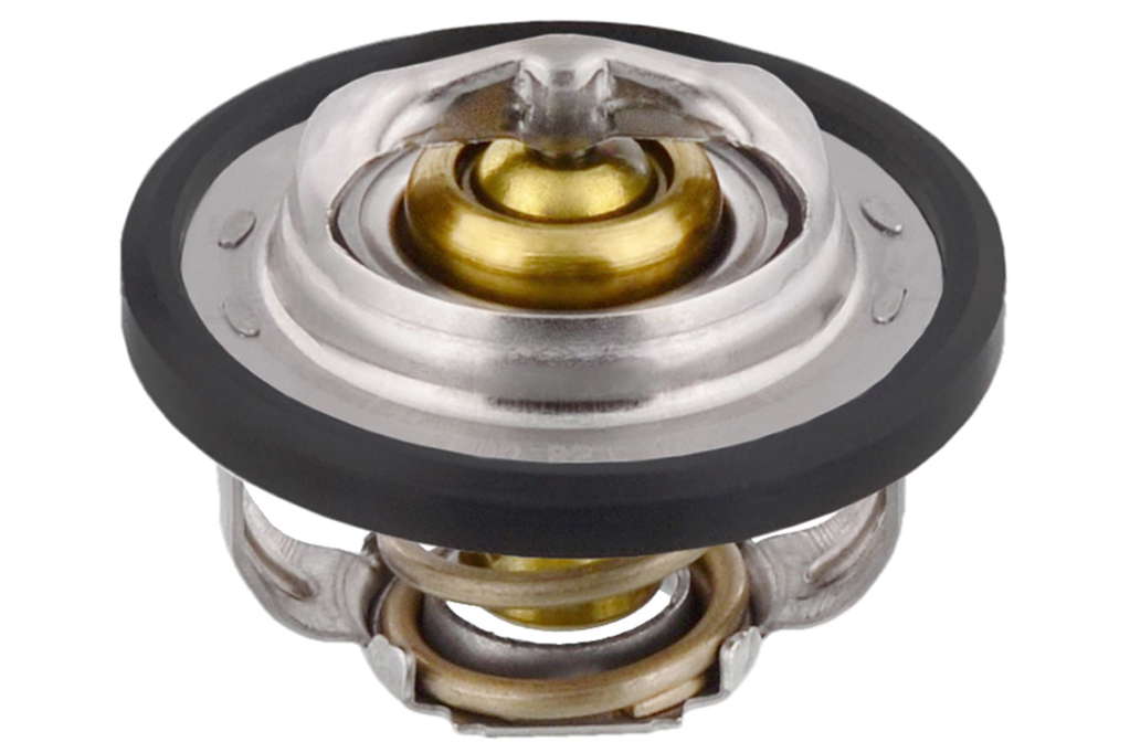Thermostat d'eau