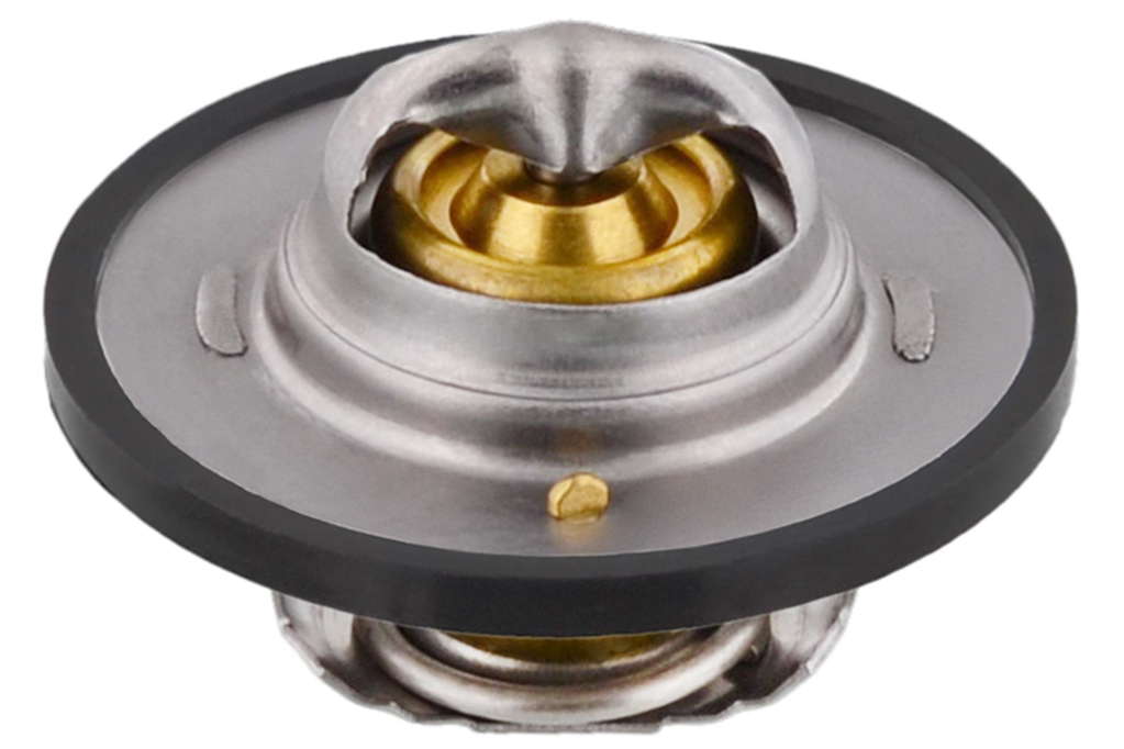 Thermostat d'eau