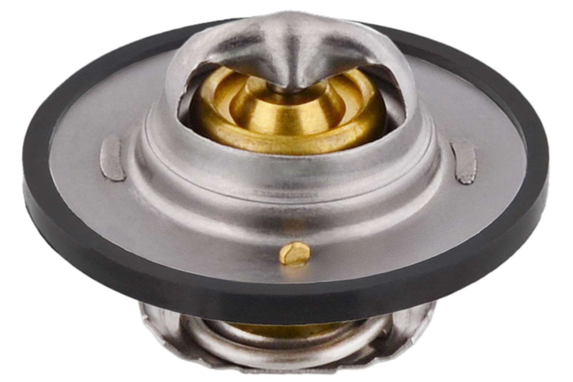 Thermostat d'eau