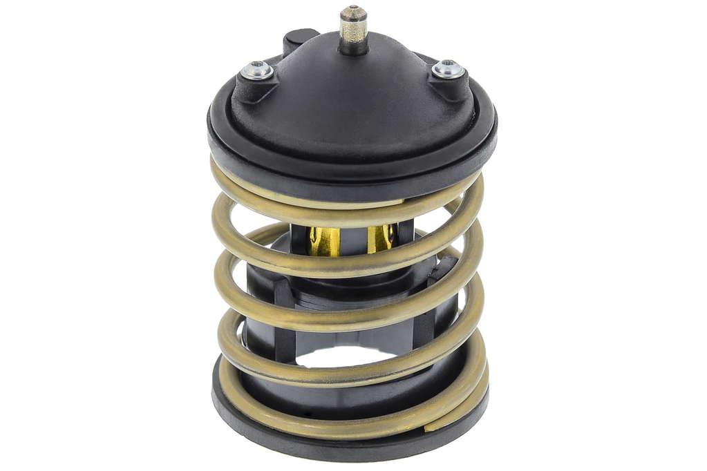 Thermostat d'eau