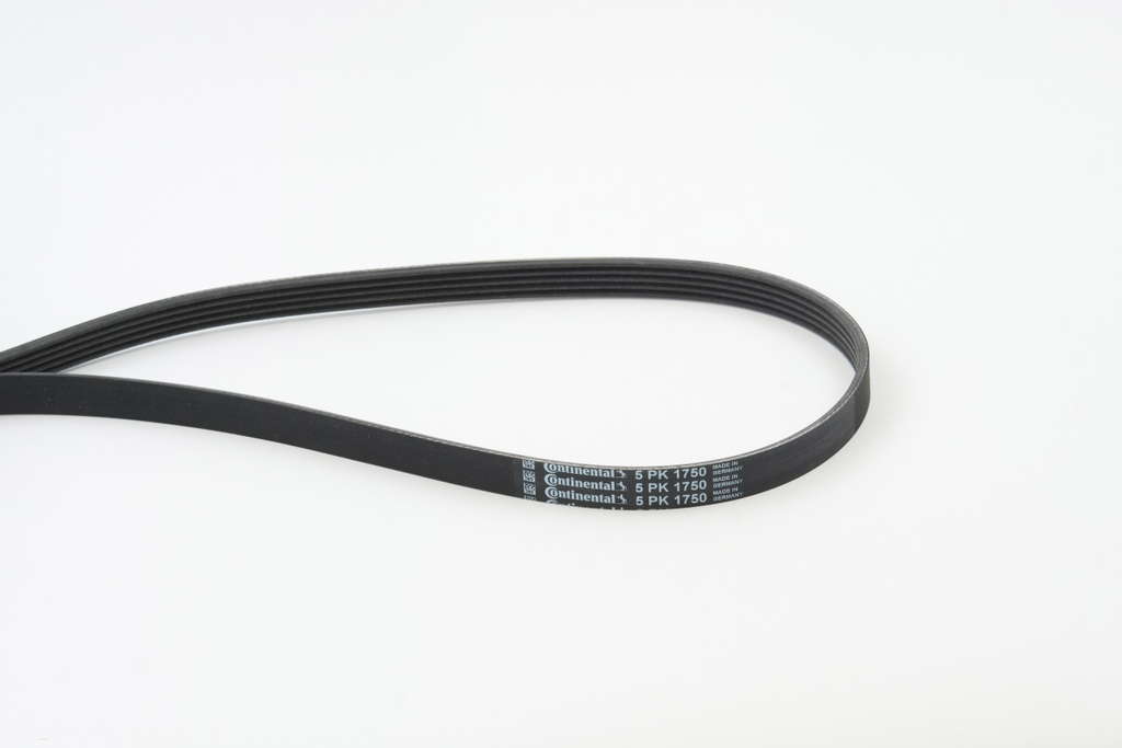 Courroie d'accessoire