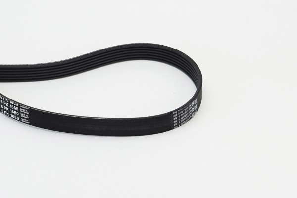 Courroie d'accessoire