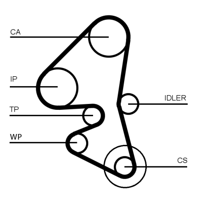 CT1162