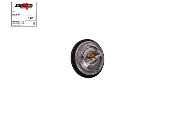 Thermostat d'eau