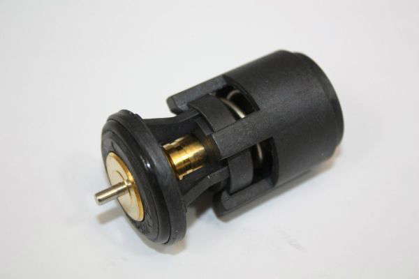Thermostat d'eau