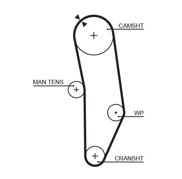 COURROIE DISTRIBUTION