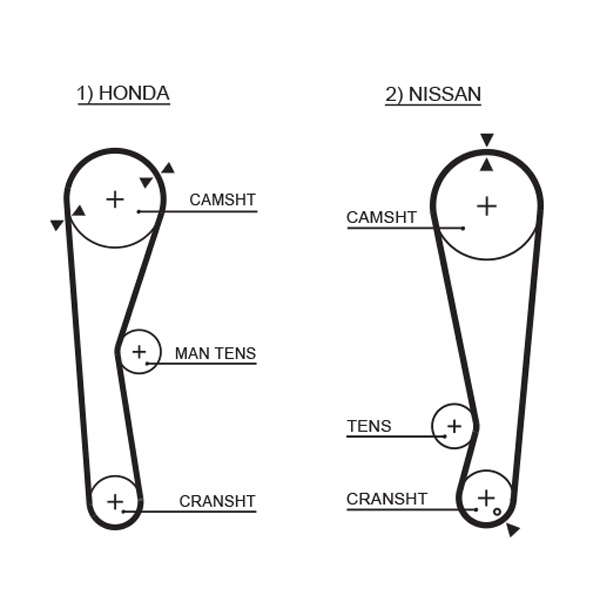 COURROIE DISTRIBUTION