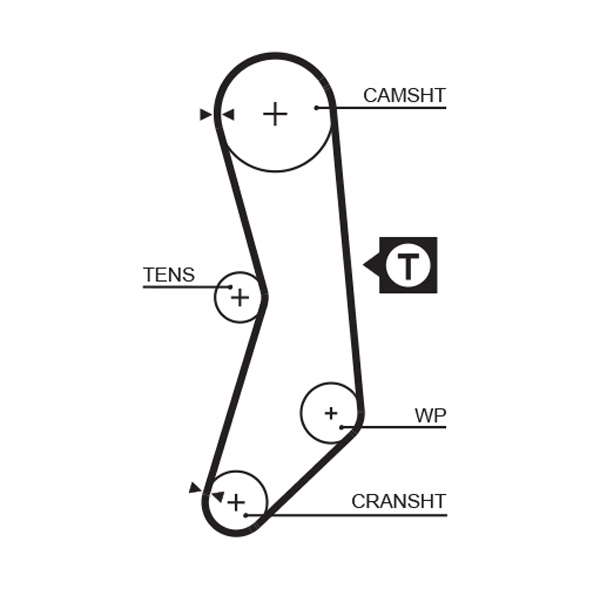 COURROIE DISTRIBUTION