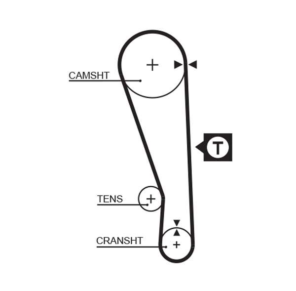 COURROIE DISTRIBUTION