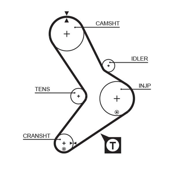 COURROIE DISTRIBUTION