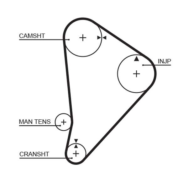 COURROIE DISTRIBUTION