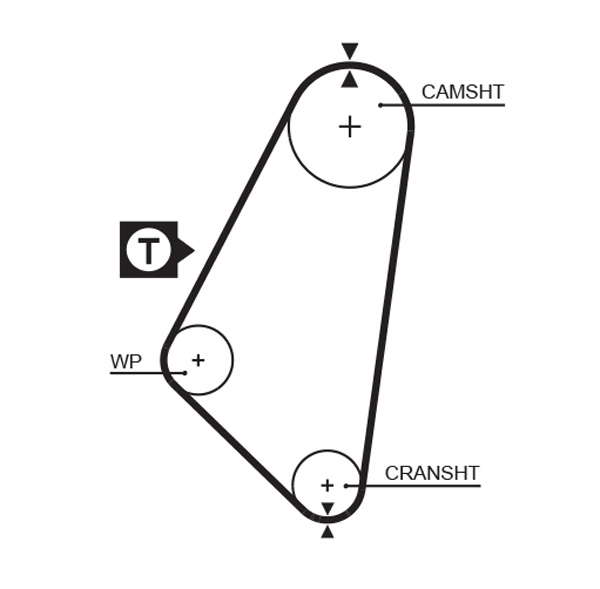 COURROIE DISTRIBUTION