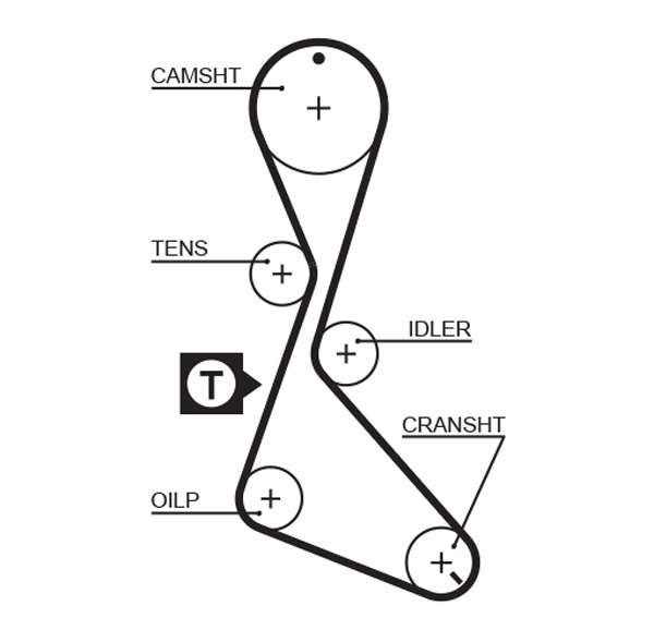 COURROIE DISTRIBUTION