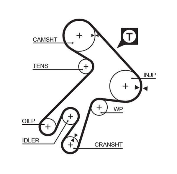 COURROIE DISTRIBUTION