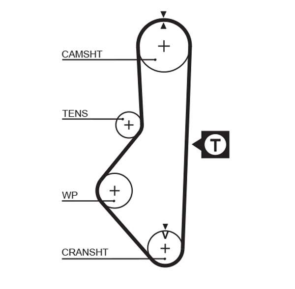 COURROIE DISTRIBUTION