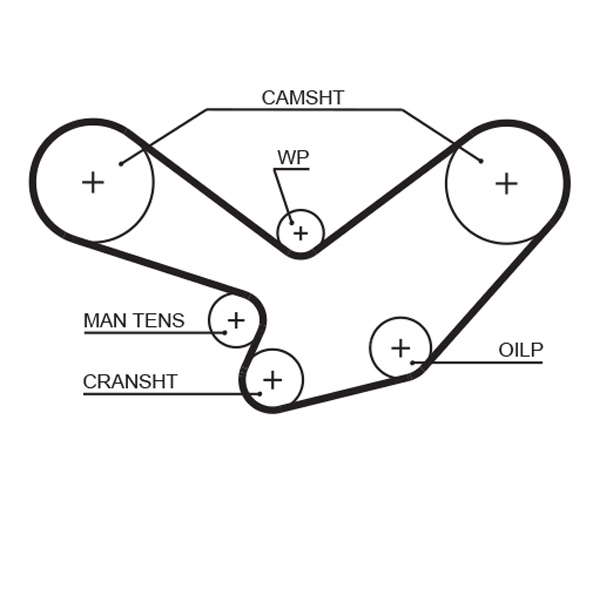 COURROIE DISTRIBUTION