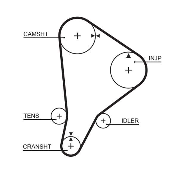 COURROIE DISTRIBUTION