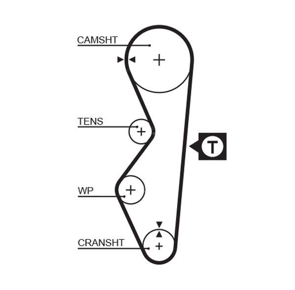 COURROIE DISTRIBUTION
