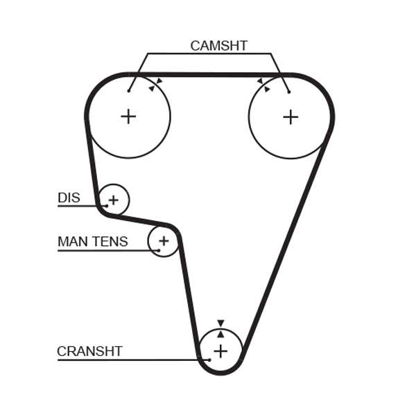 COURROIE DISTRIBUTION