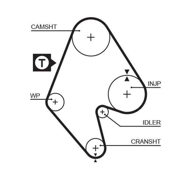 COURROIE DISTRIBUTION